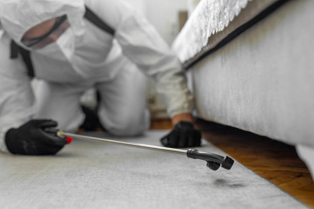 Professional Cockroach Control technician working in Hasley Canyon, CA