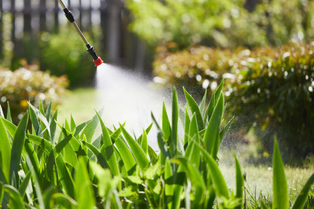 24/7 Emergency Cockroach Control experts in Hasley Canyon, CA