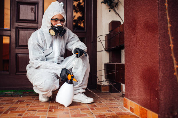 Reliable Cockroach Control contractor in Hasley Canyon, CA by Nex Pest Control